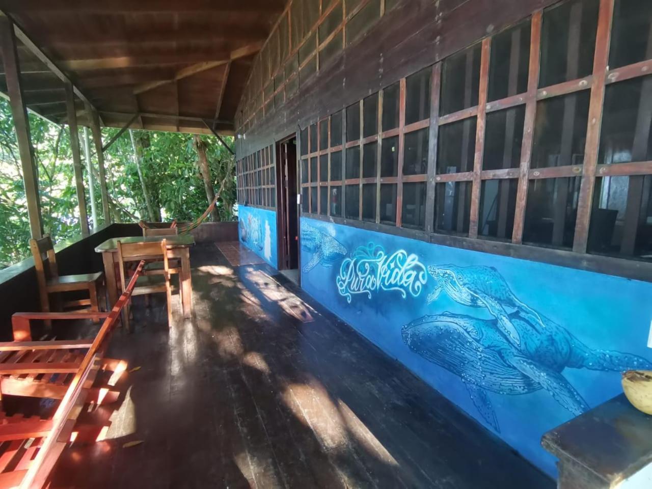 Pirate Drake Beach Hostel & Tour Company Drakes Bay Exterior foto